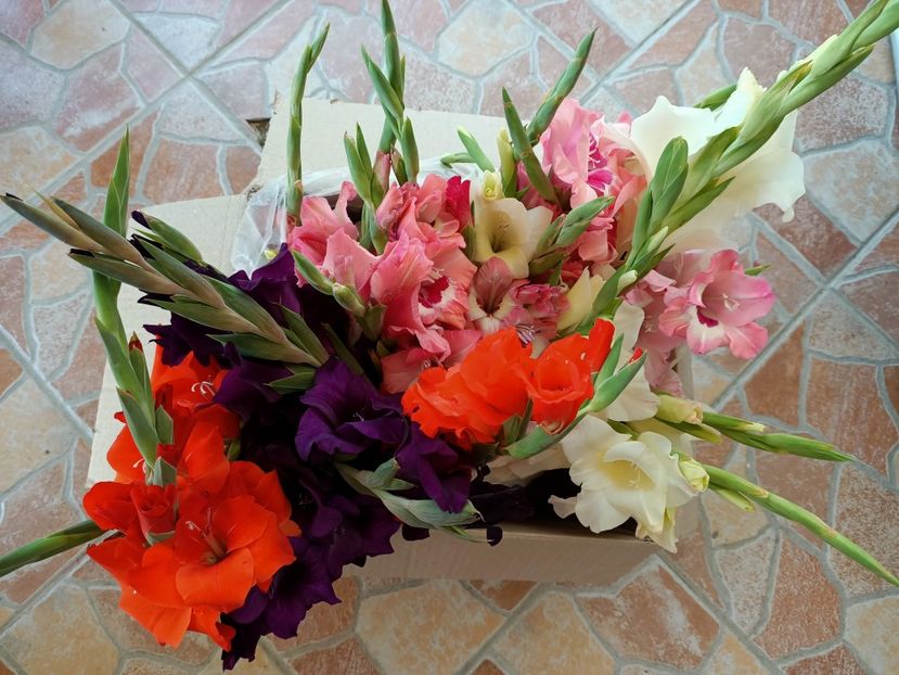 La mulți ani și multă sănătate ❤️ - 1 Gaby