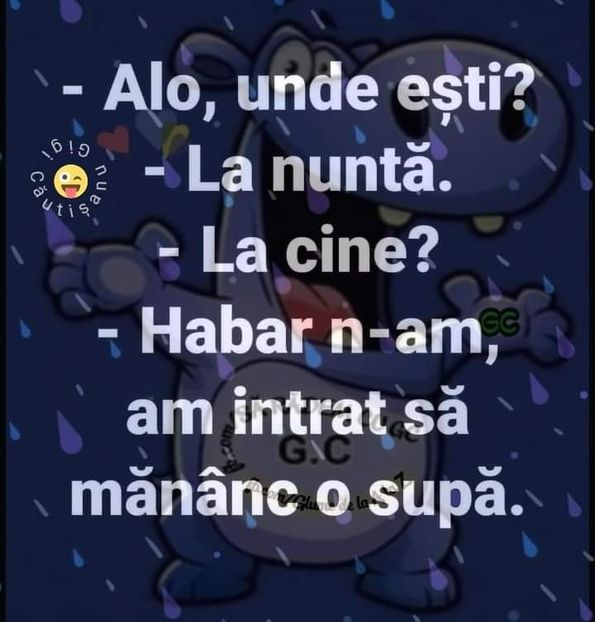  - Divertisment 5