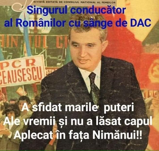  - Divertisment 5