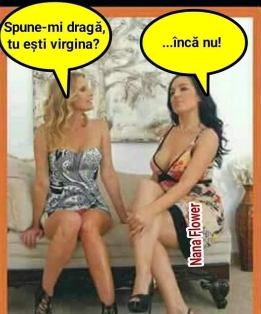 - Divertisment 5