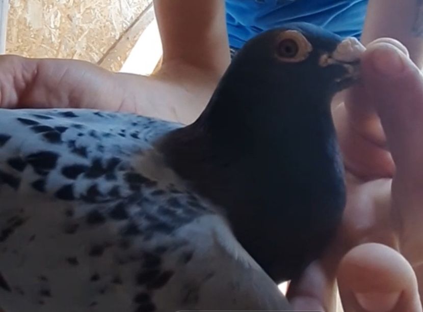 Screenshot_20210804-144441_Gallery - 2021