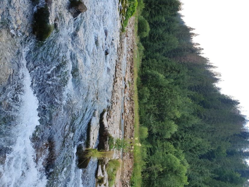  - Natura-marisel-belis