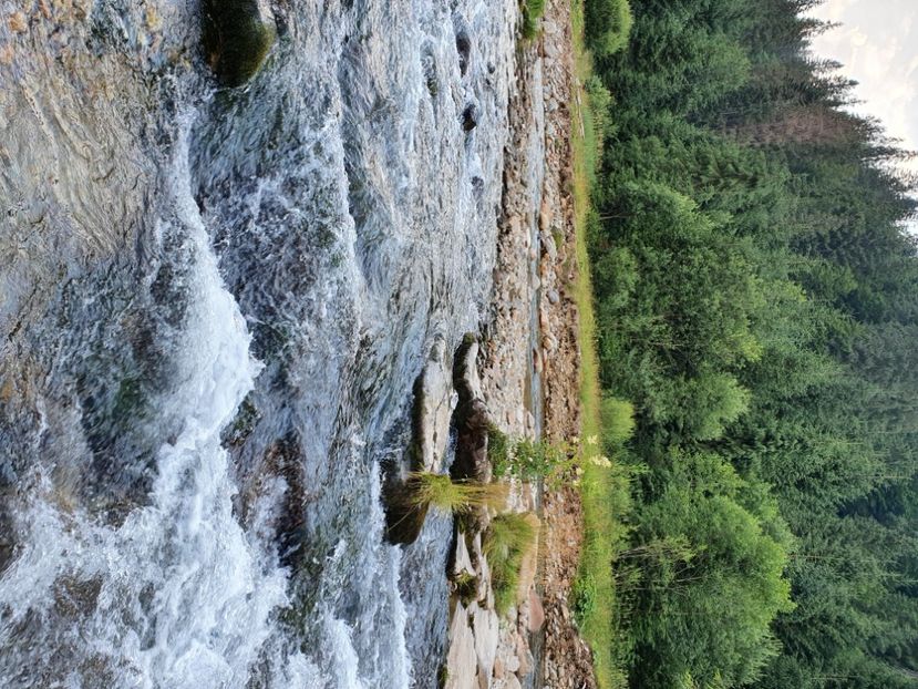  - Natura-marisel-belis