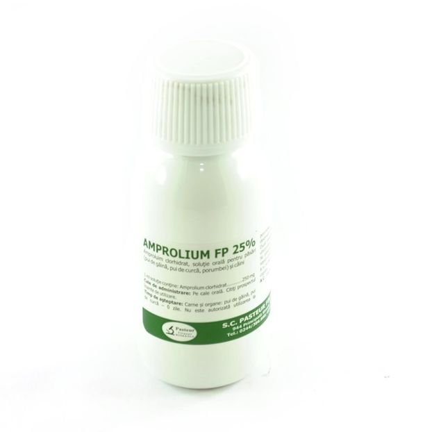 3986273_big - MEDICAMENTE IEPURI