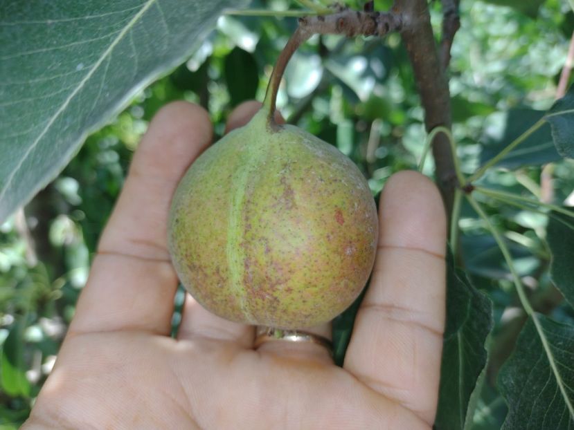 7 august 2021 - Busuioace