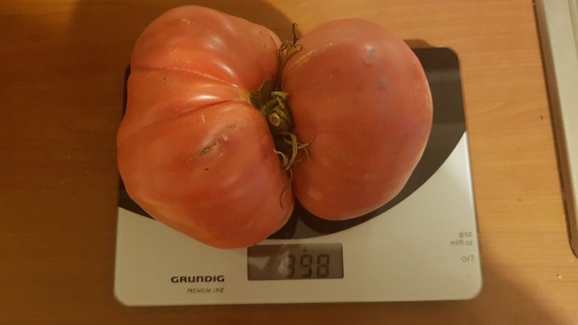 2 in 1 - 07 Gradinuta de legume 2021