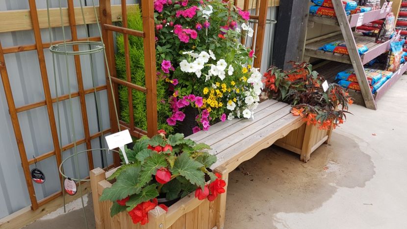 La gradina cu flori - Florile mele din Anglia