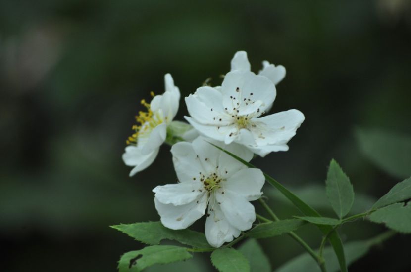 _DSC0018 - VARA 2021_7