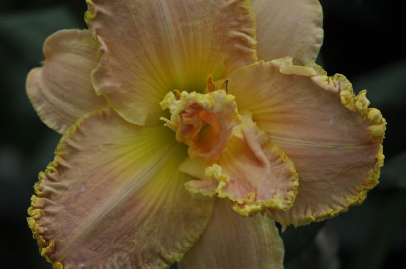 _DSC0104 - VARA 2021_7