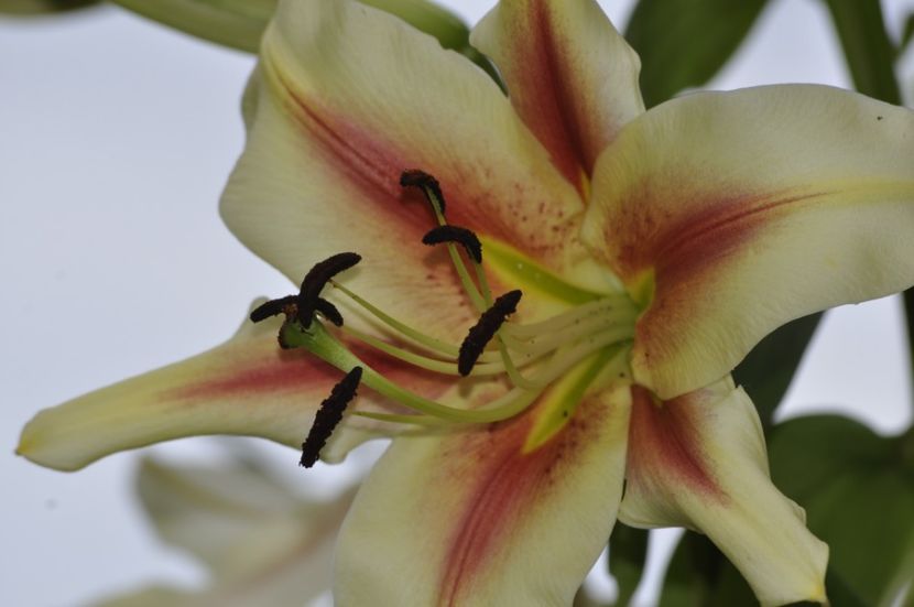 _DSC0063 - VARA 2021_7