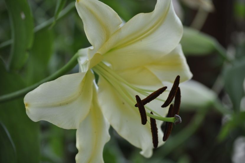 _DSC0064 - VARA 2021_7