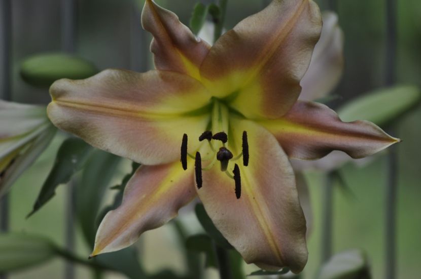 _DSC0065 - VARA 2021_7