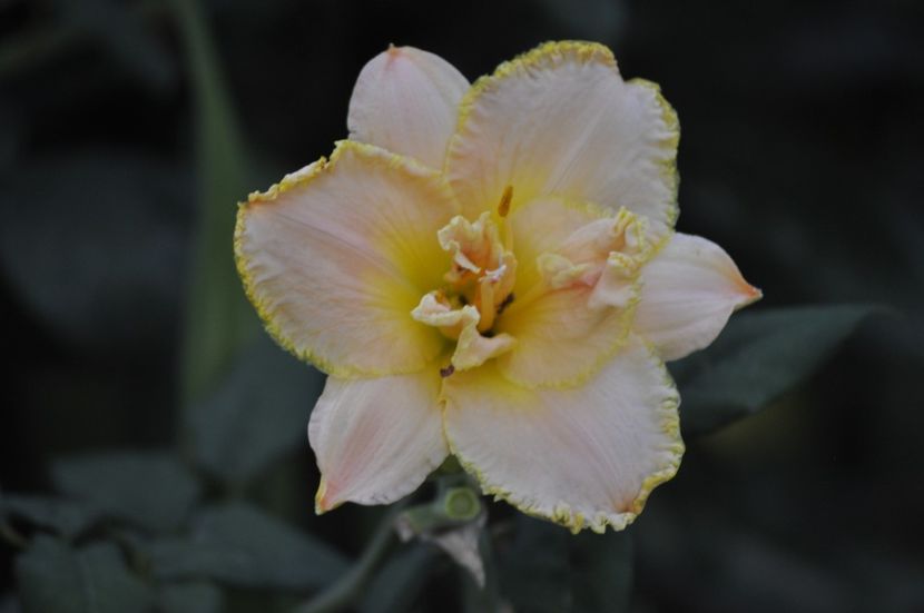 _DSC0100 - VARA 2021_8