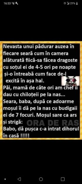  - Divertisment 5