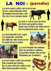  - Divertisment 5