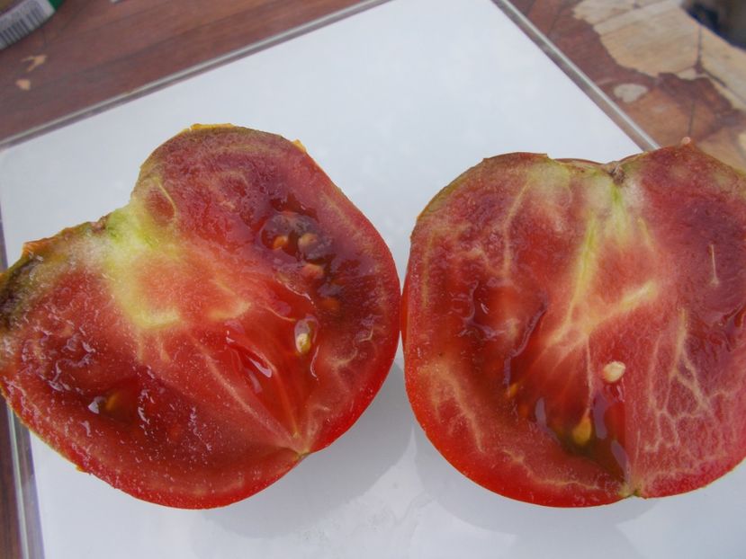  - SEMINTE ROSII - T 671 BORDO