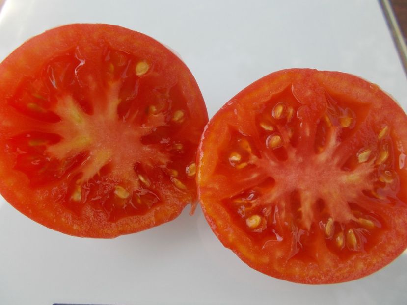  - SEMINTE ROSII - T 780 KEMEROVETS