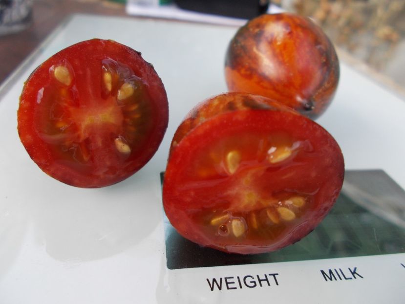  - SEMINTE ROSII - T 702 BOXING SCHADOW LONG PAINTED