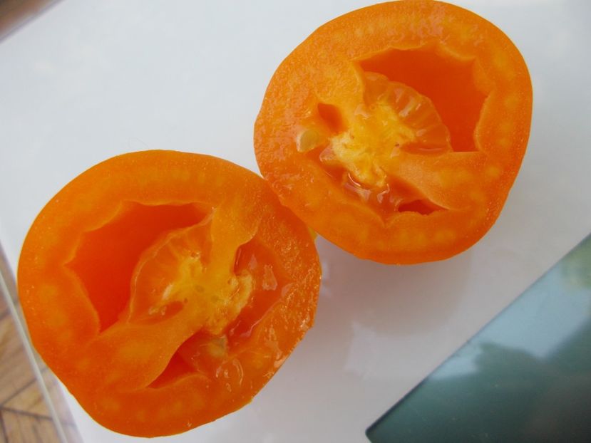  - SEMINTE ROSII - T 790 BANANTCHIK ORANGE