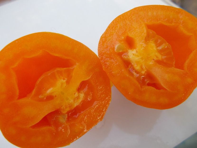  - SEMINTE ROSII - T 790 BANANTCHIK ORANGE