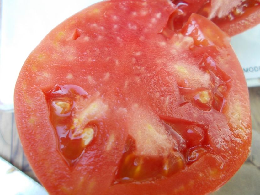  - SEMINTE ROSII - T 803 WORK RELEASE PASTE