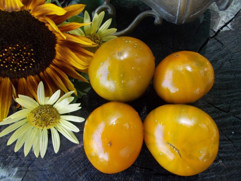  - SEMINTE ROSII - T 767 IRISCHER LIKOR