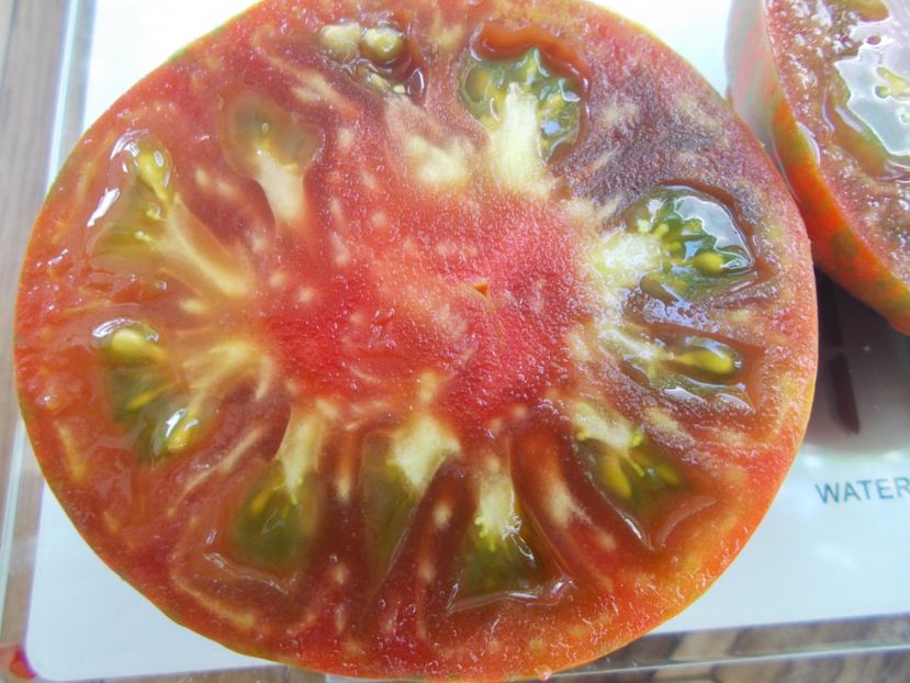  - SEMINTE ROSII - T 763 IRISH STRIPES