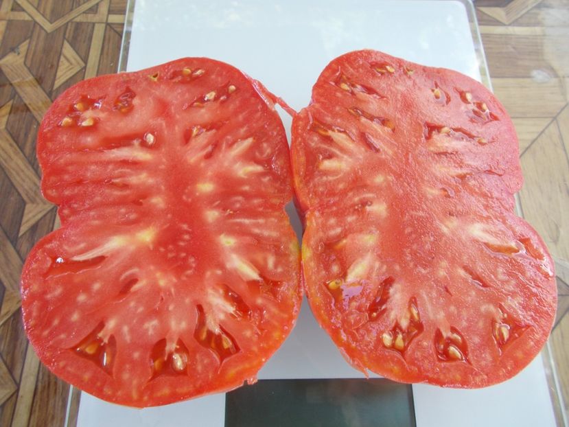  - SEMINTE ROSII - T 714 JEFF DAVIS