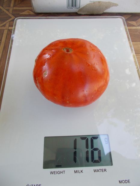  - SEMINTE ROSII - T 645 COEUR DU TIBET