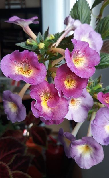  - 0001 2022 - BriD s Elegante