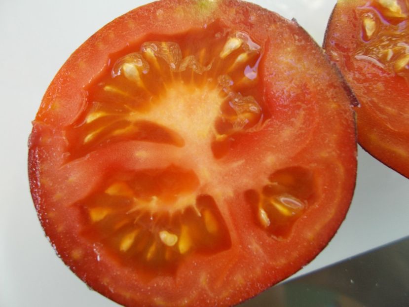  - SEMINTE ROSII - T 784 WILD CARD BLUES