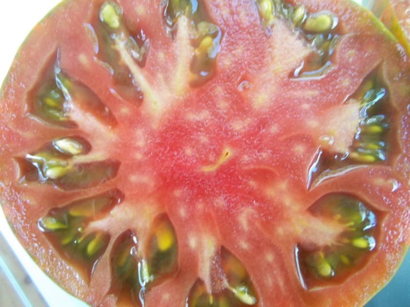  - SEMINTE ROSII - T 662 LUC