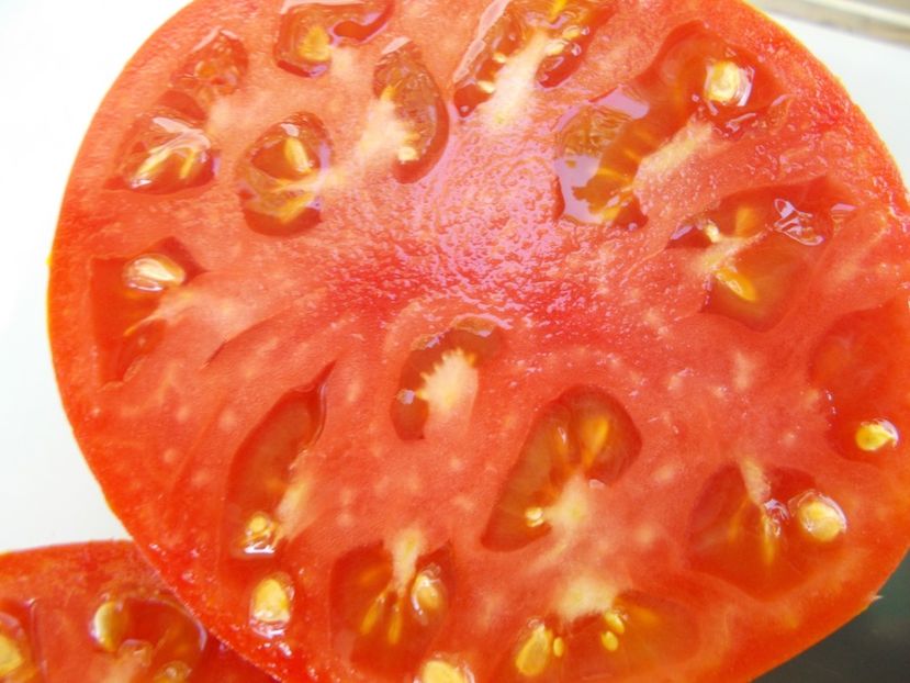  - SEMINTE ROSII - T 672 RUMBA OZAROWSKA