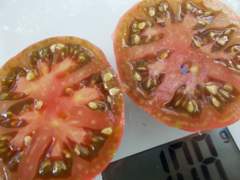  - SEMINTE ROSII - T 726 NOIRE DE COSEBOEUF