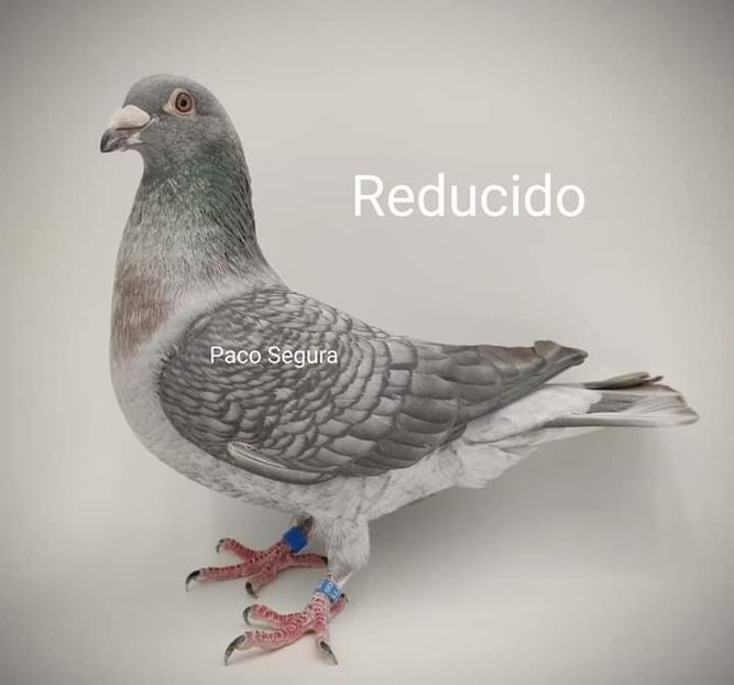  - NU IMI APARTIN ALBUM NR 2