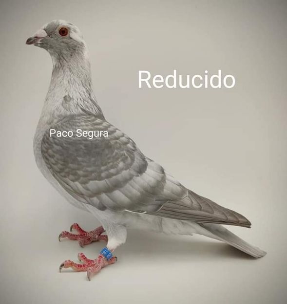  - NU IMI APARTIN ALBUM NR 2