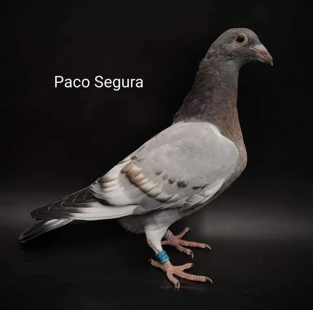  - NU IMI APARTIN ALBUM NR 2