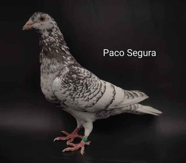  - NU IMI APARTIN ALBUM NR 2