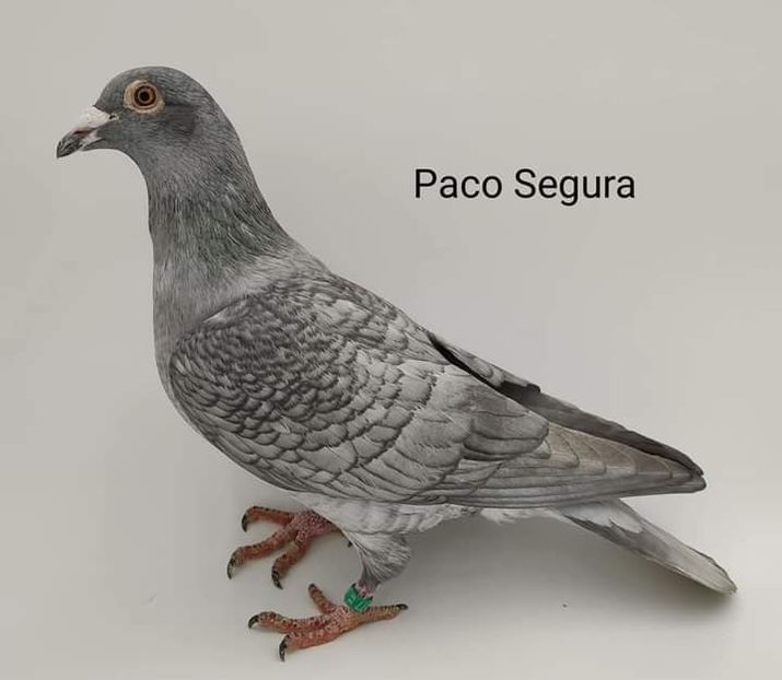  - NU IMI APARTIN ALBUM NR 2