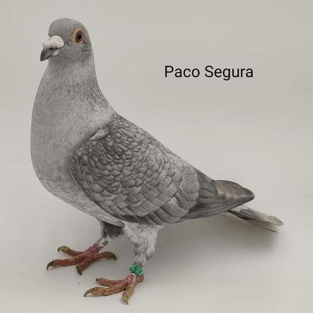  - NU IMI APARTIN ALBUM NR 2