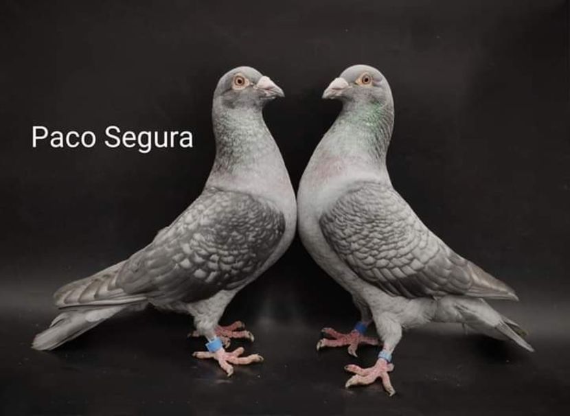  - NU IMI APARTIN ALBUM NR 2