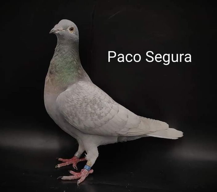  - NU IMI APARTIN ALBUM NR 2