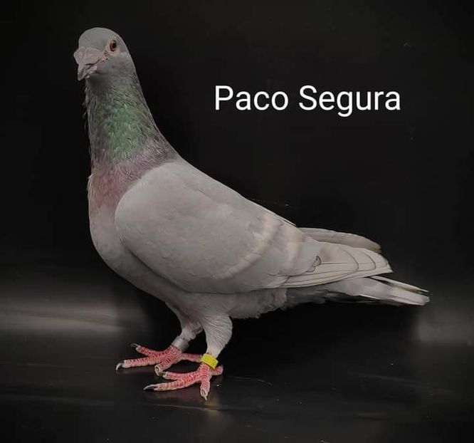  - NU IMI APARTIN ALBUM NR 2