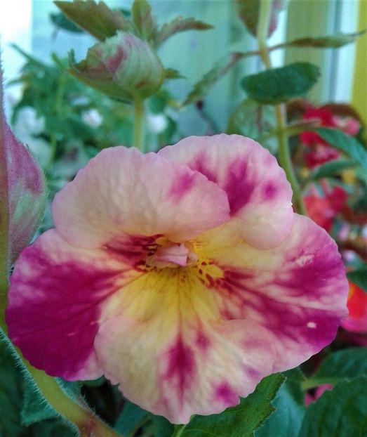  - Aici cred ca a pictat Nataly