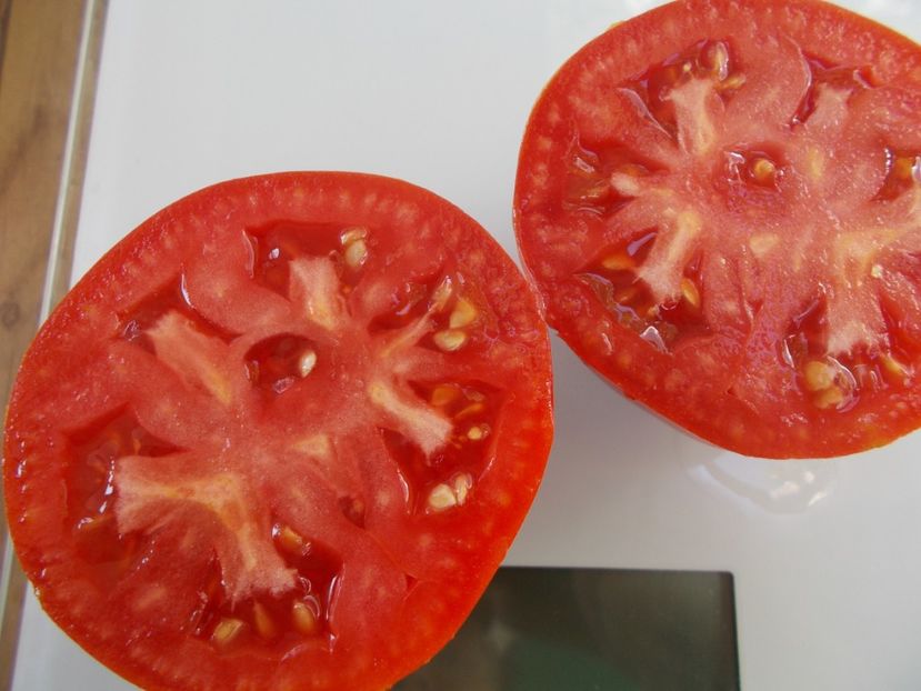  - SEMINTE ROSII - T 707 ALICE EGYPT