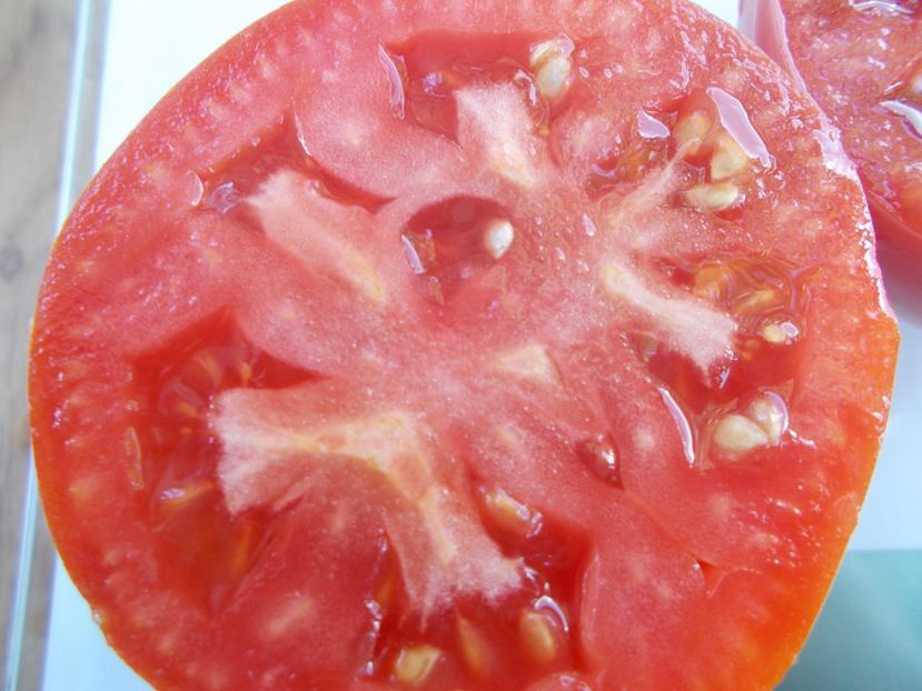  - SEMINTE ROSII - T 707 ALICE EGYPT