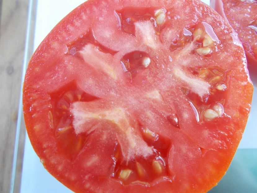  - SEMINTE ROSII - T 707 ALICE EGYPT