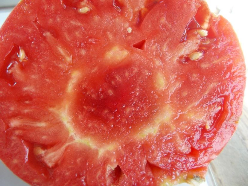  - SEMINTE ROSII - T 686 CUL DE SINGE