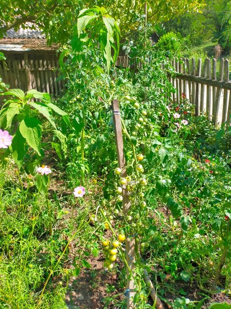 IMG20210813125826 - August 21