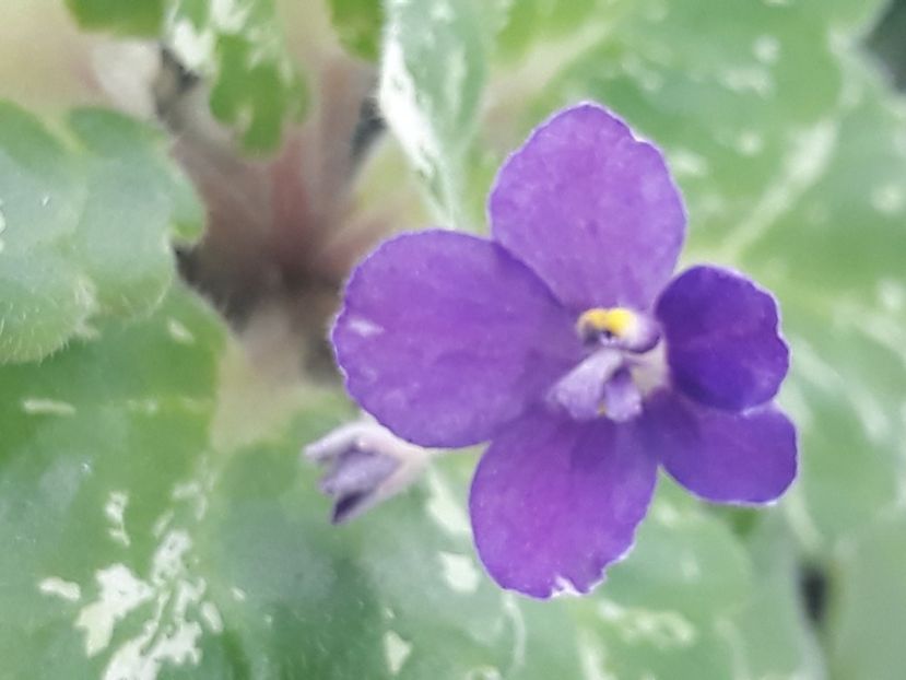 14 aug - Rob s Jee Jim